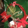 cvecara-ikebana-becej